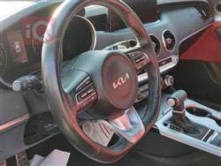 کیا ستینگەر